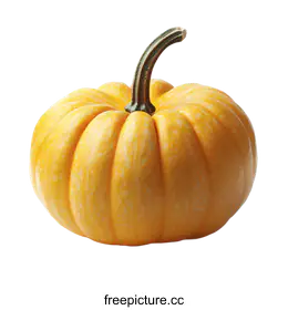 gourd
