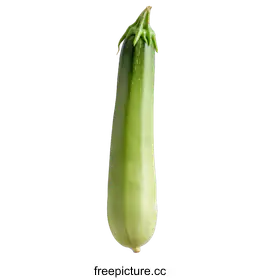 zucchini