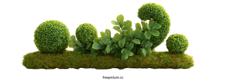 topiary