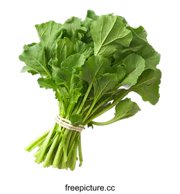 bok choy