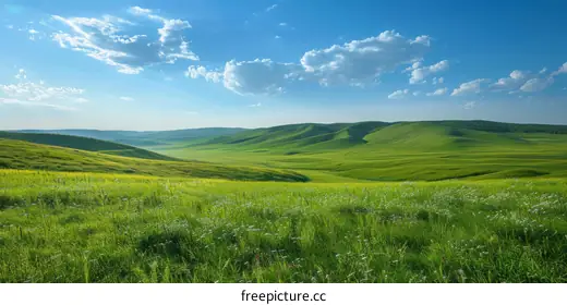 grassland