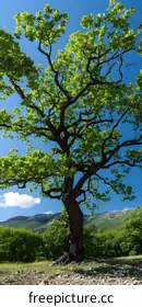 biodiversityphotography