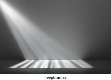 spotlight effect