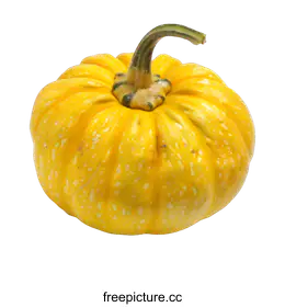 gourd