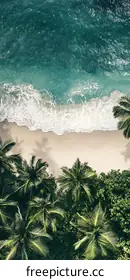 tropical beach