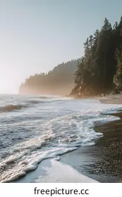 shoreline