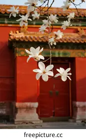 traditional architecture