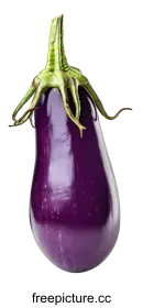 eggplant