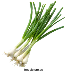 spring onion
