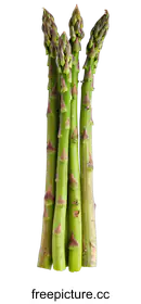 asparagus
