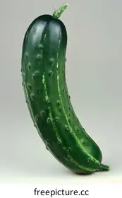 cucumber