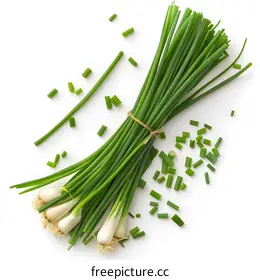 spring onion