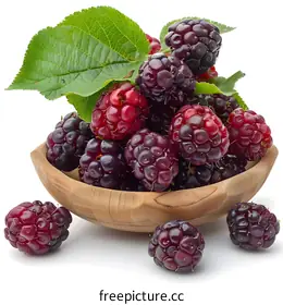 blackberries