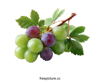 grapes