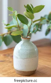 ceramic vase