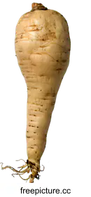 parsnip