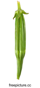 bud