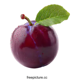 plum