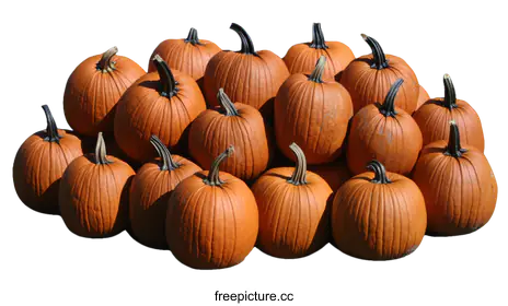 orange pumpkins