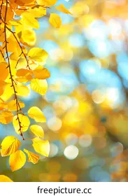 golden leaves