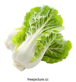 bok choy