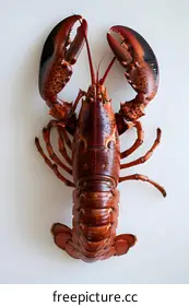 background photography