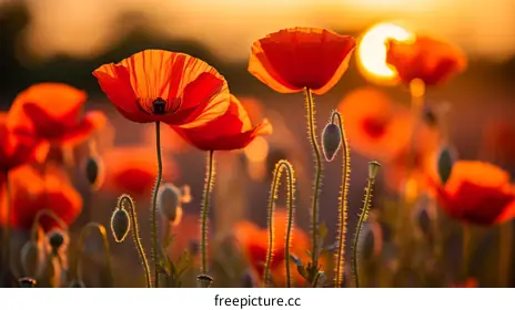 landscape photography