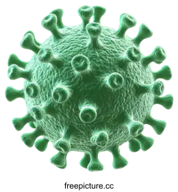virus