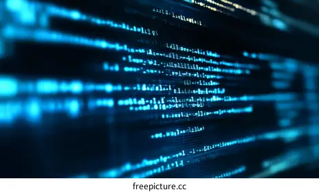 programming language