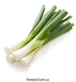 scallion