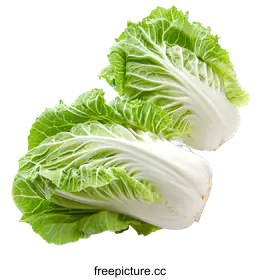 cabbage