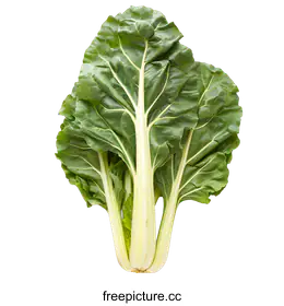 swiss chard