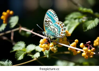 environmental protection