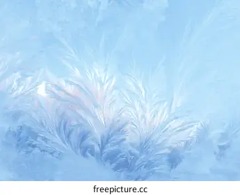 frozen window