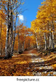 adventurephotography