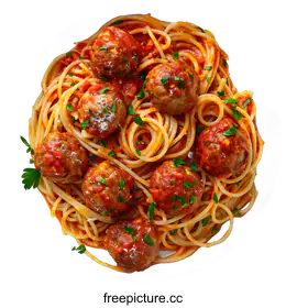 spaghetti with tomato sauce