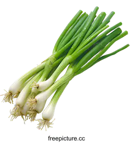 spring onion