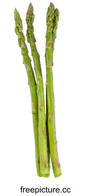 asparagus