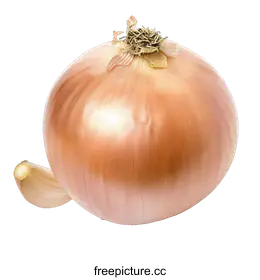 onion