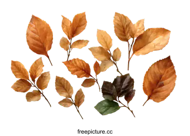 fallfoliage
