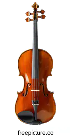violin