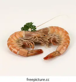 prawn