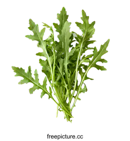 arugula