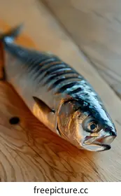 mackerel
