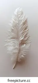 feather