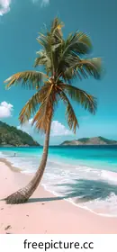 tropical beach