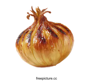 onion