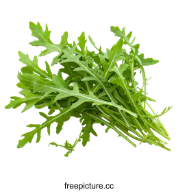 arugula