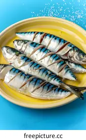 mackerel