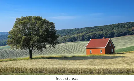 farmland